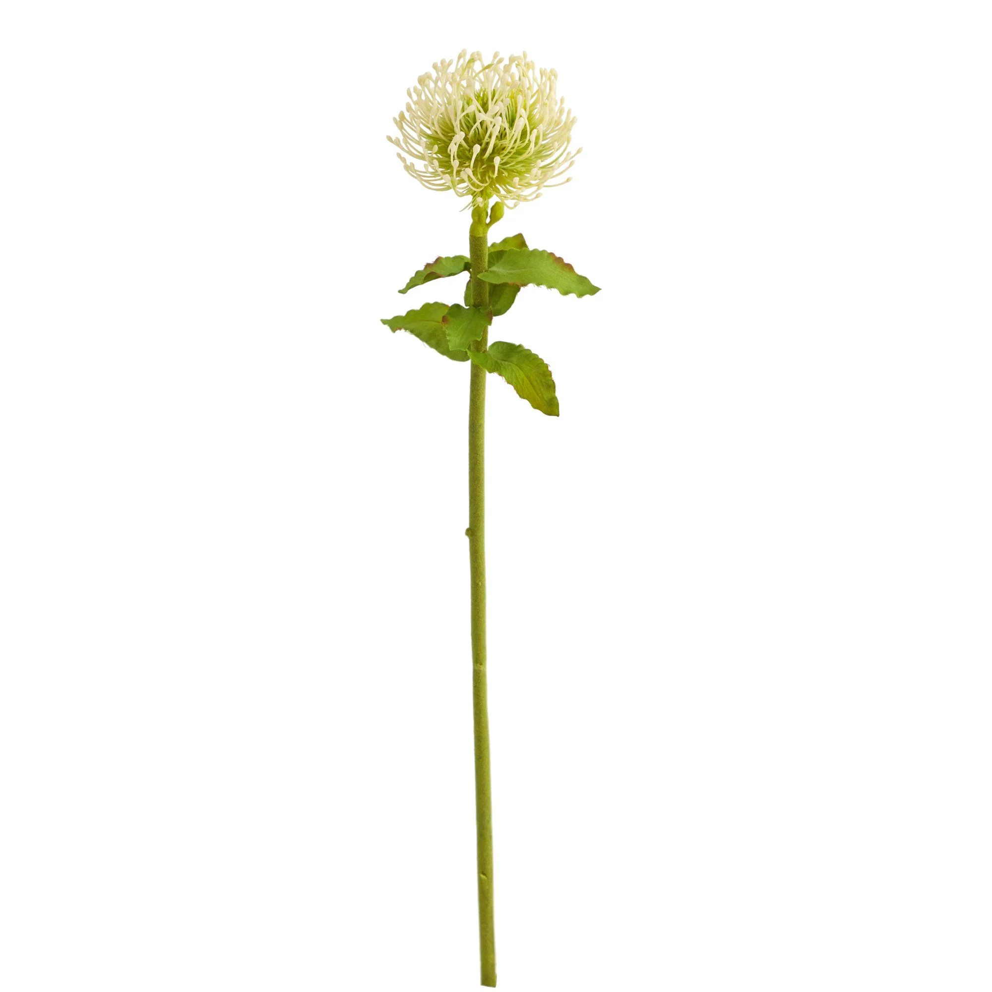 24β Pincushion Artificial Flower (Set of 6)