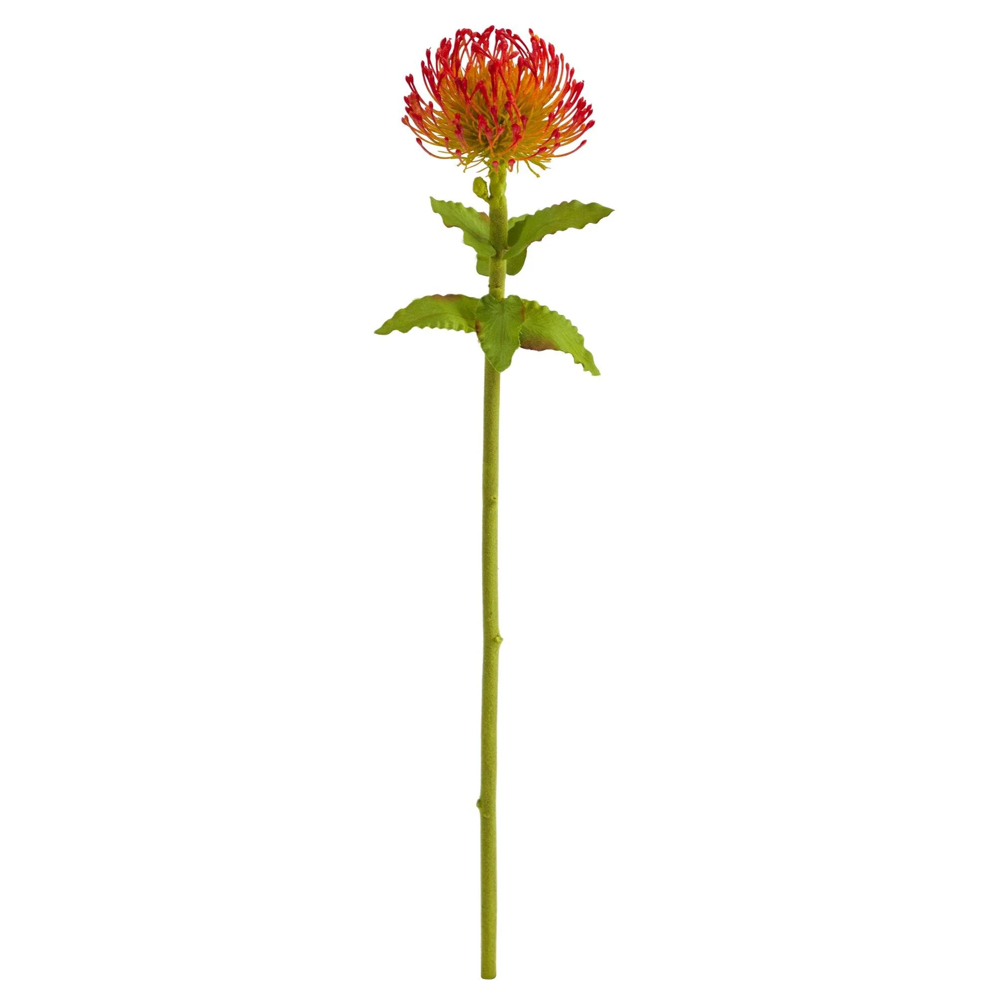 24β Pincushion Artificial Flower (Set of 6) - Image 4