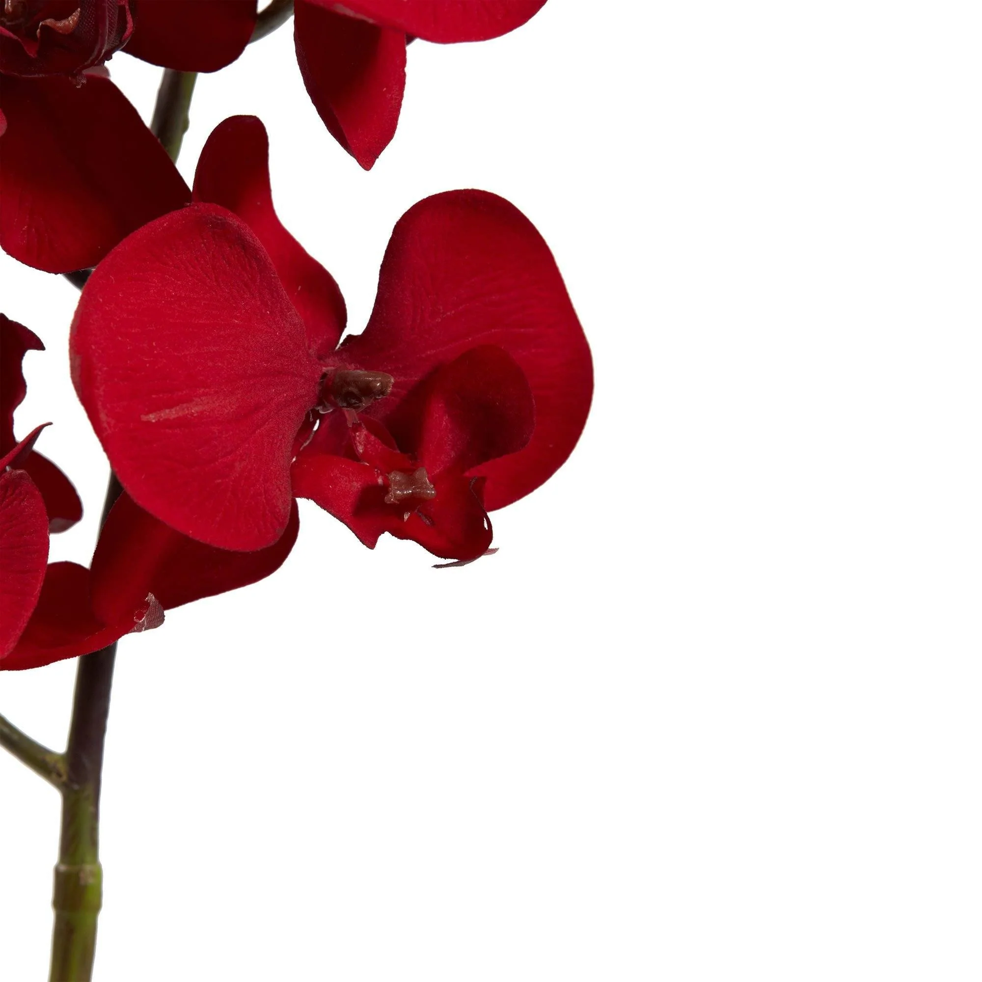 36” Christmas Phalaenopsis Orchid Artificial Flower (Set of 4) - Image 3