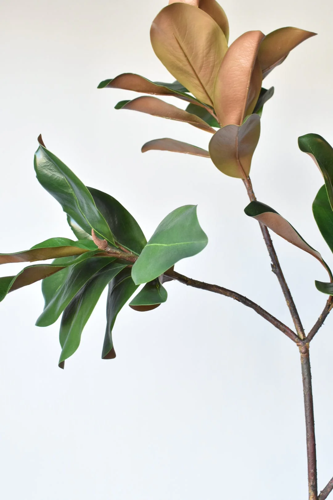 40" Faux Magnolia Leaf Branch - Image 7