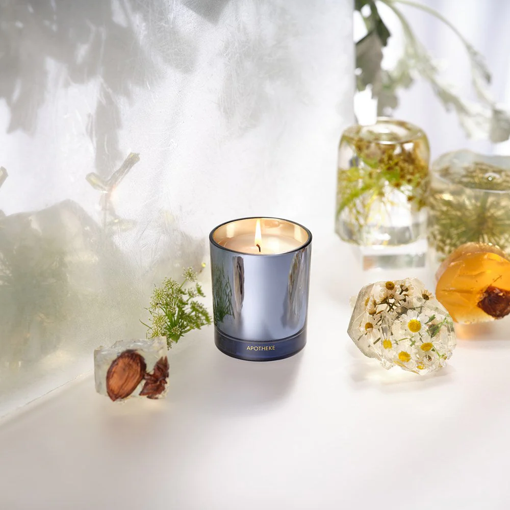 Cardamom Chestnut Petite Candle - Image 2