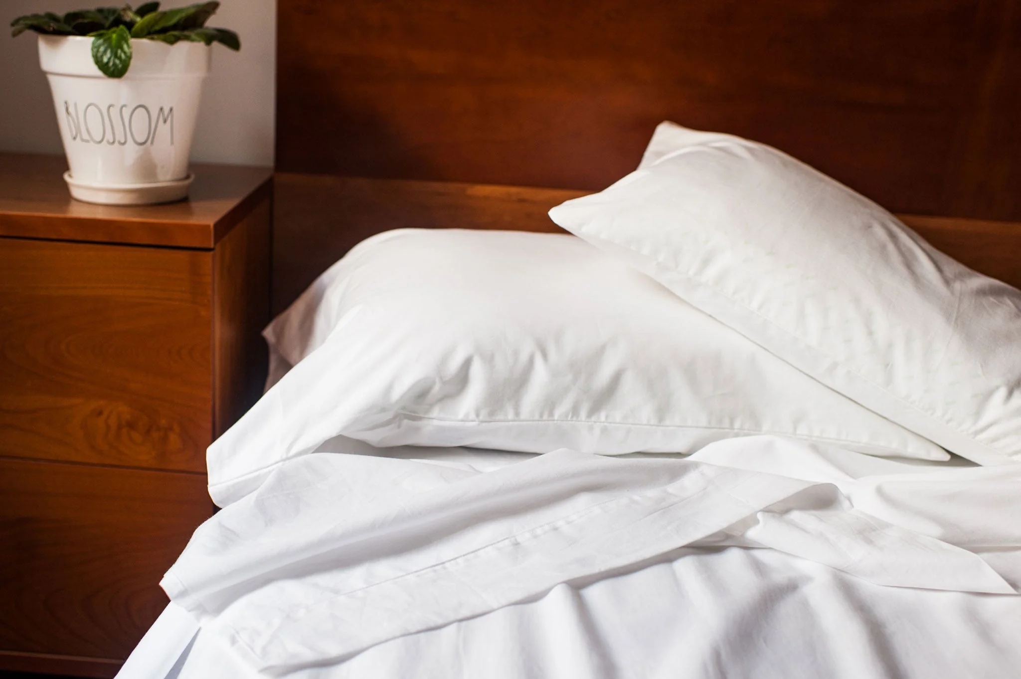 Cotton Single [Separate] Fitted Bed Sheet - Image 4