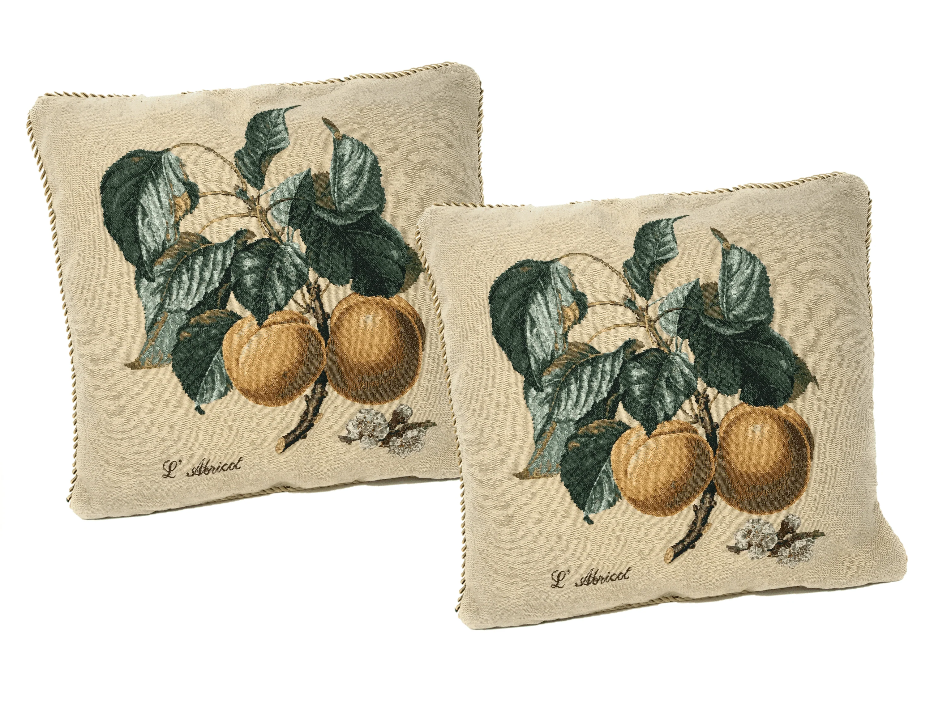 Set of 2 Yellow Apricot Fruits Throw Pillow Covers w/ Inserts