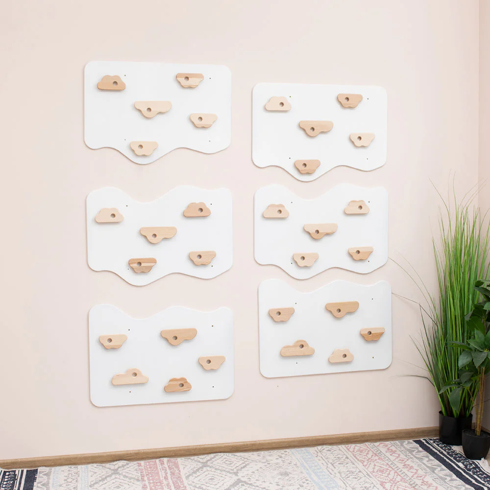 Home Climbing Wall - Image 11