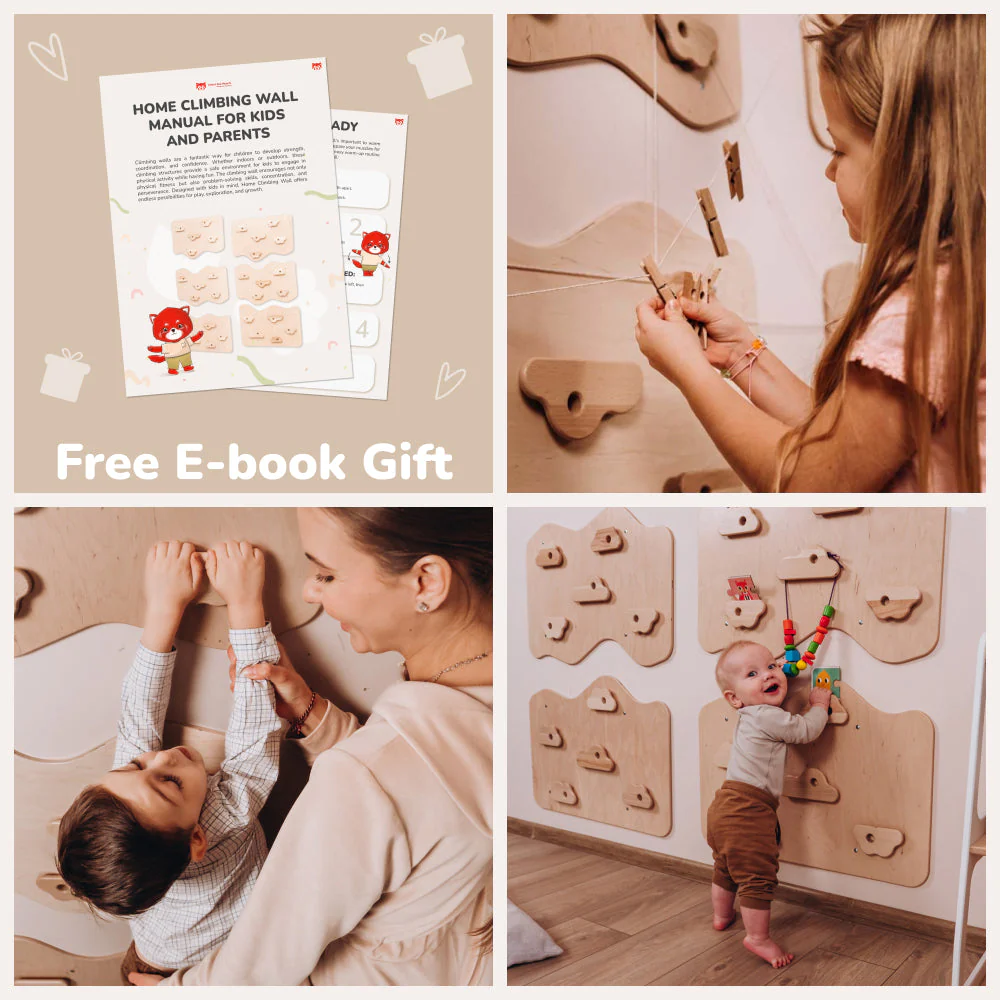 Home Climbing Wall - Image 12