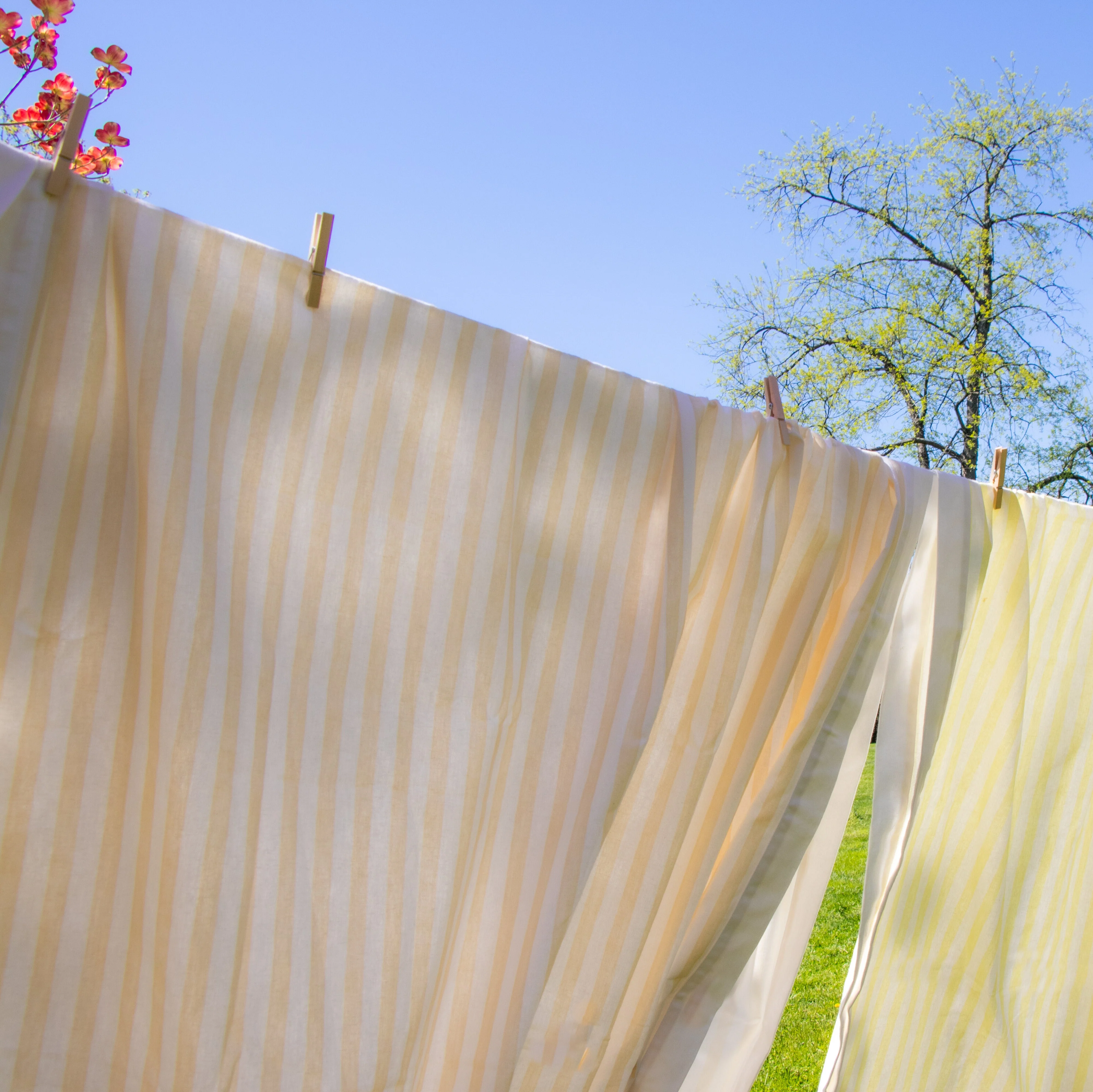 Lychee Sorbet Stripe Tablecloth - Image 2