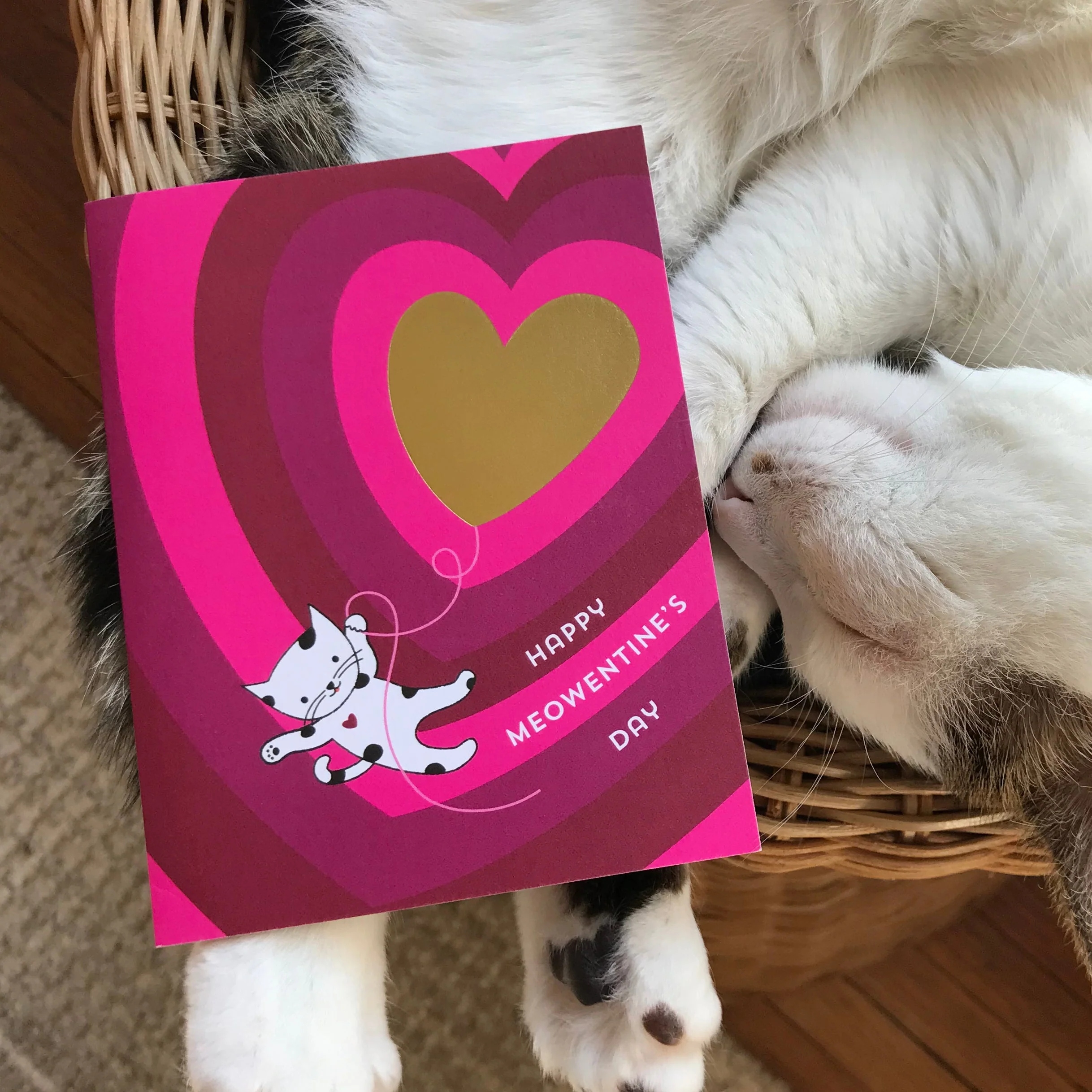 Meowentine Foil-Stamped Valentine's Day Card - Image 2