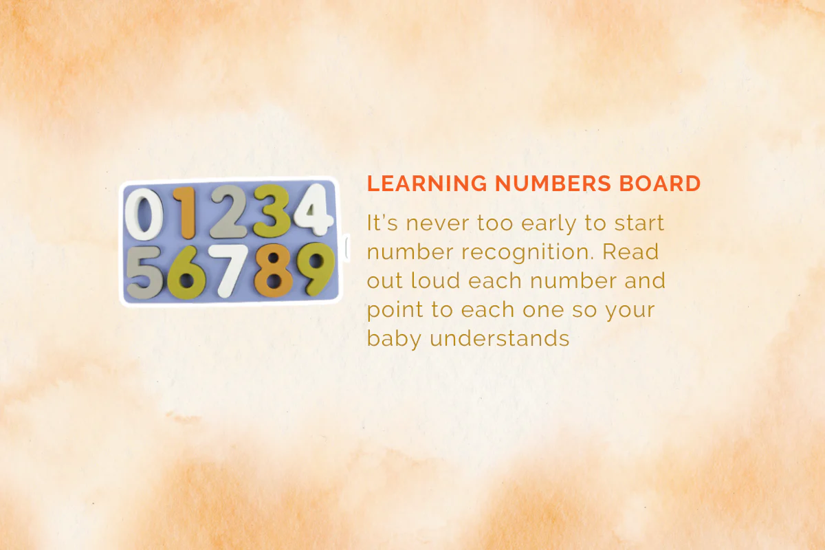 Montessori Educational Box (5-6 Months) - Image 7
