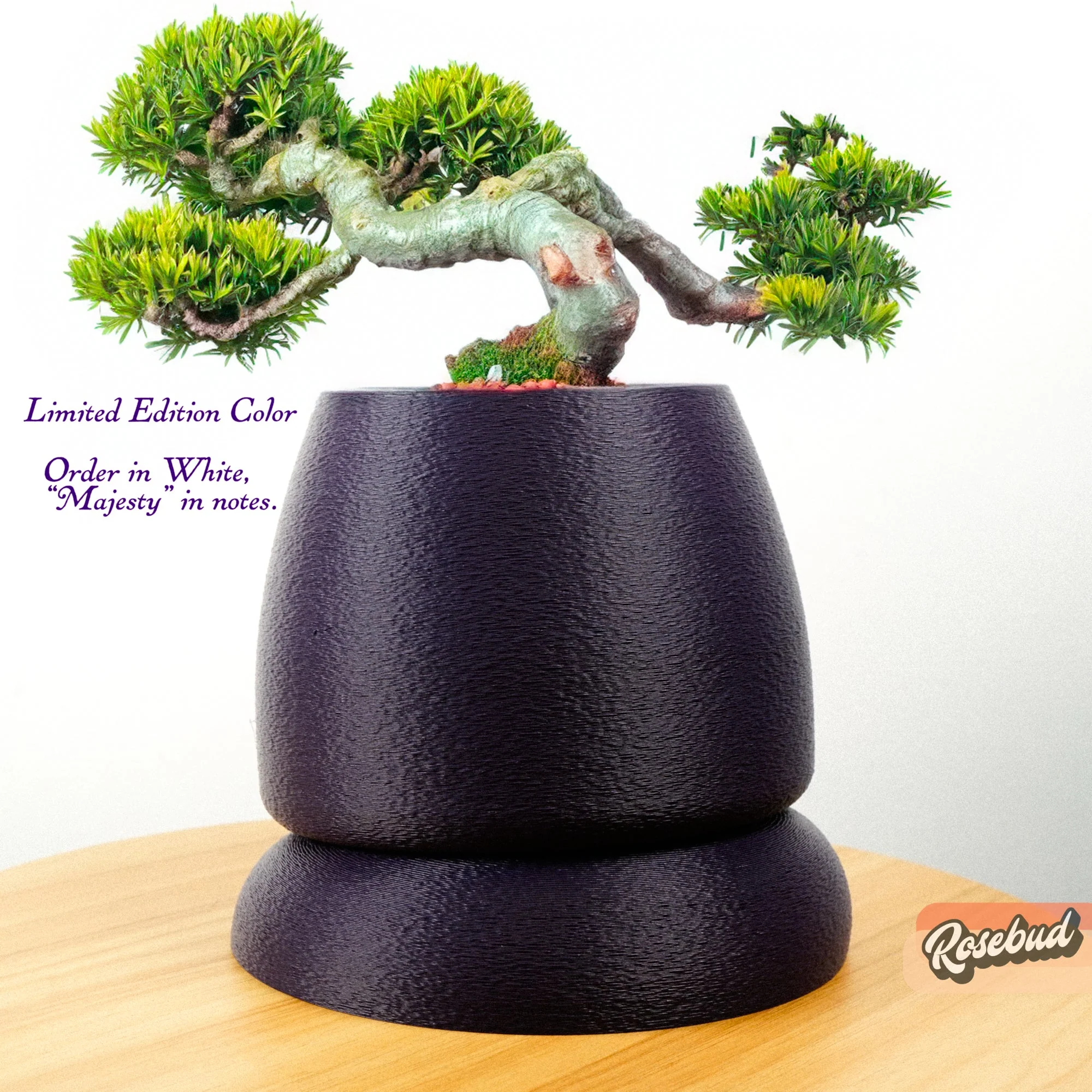 Nubium Planter - Image 6