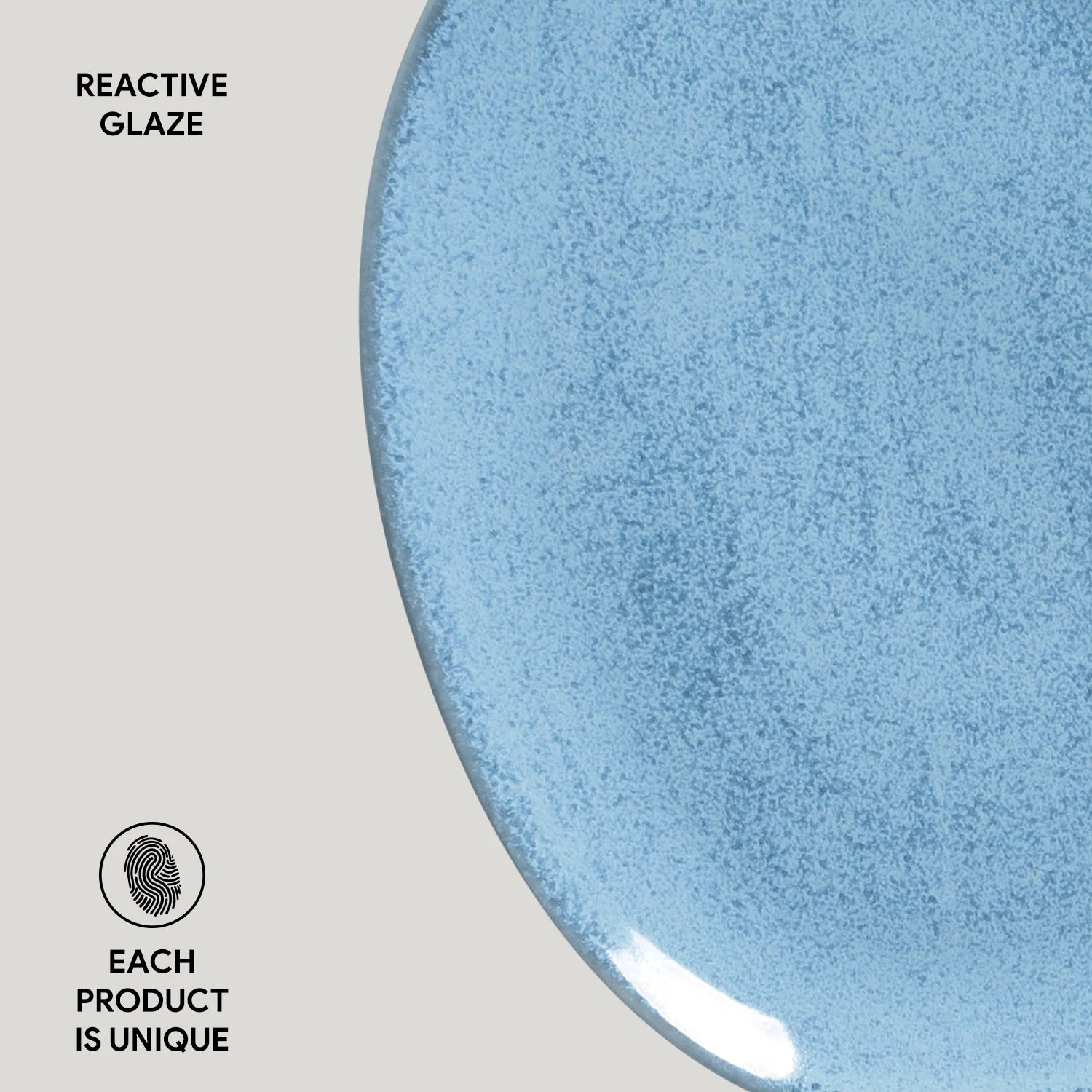Oval Dinner Plate Set of 6 - Image 23