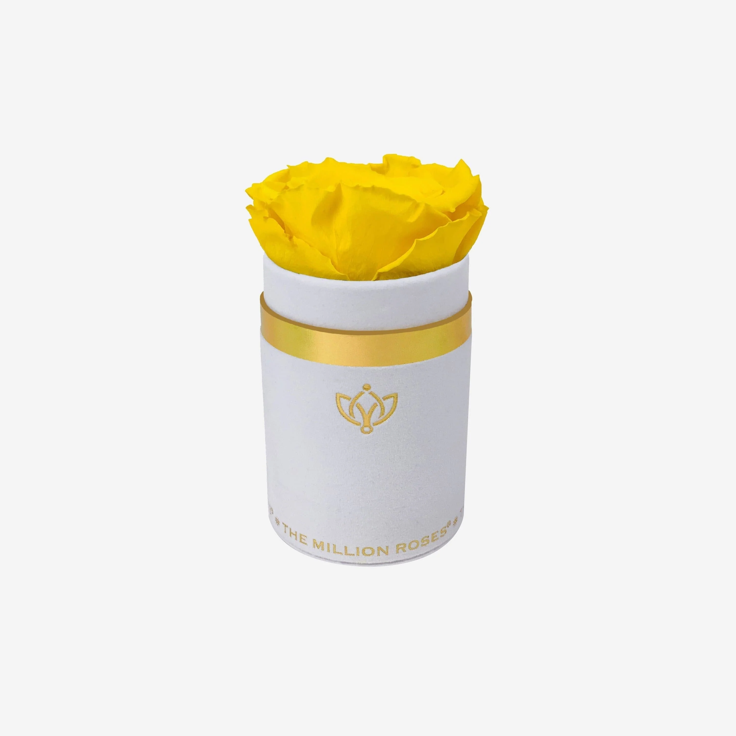 Single White Suede Box | Yellow Rose - Image 2