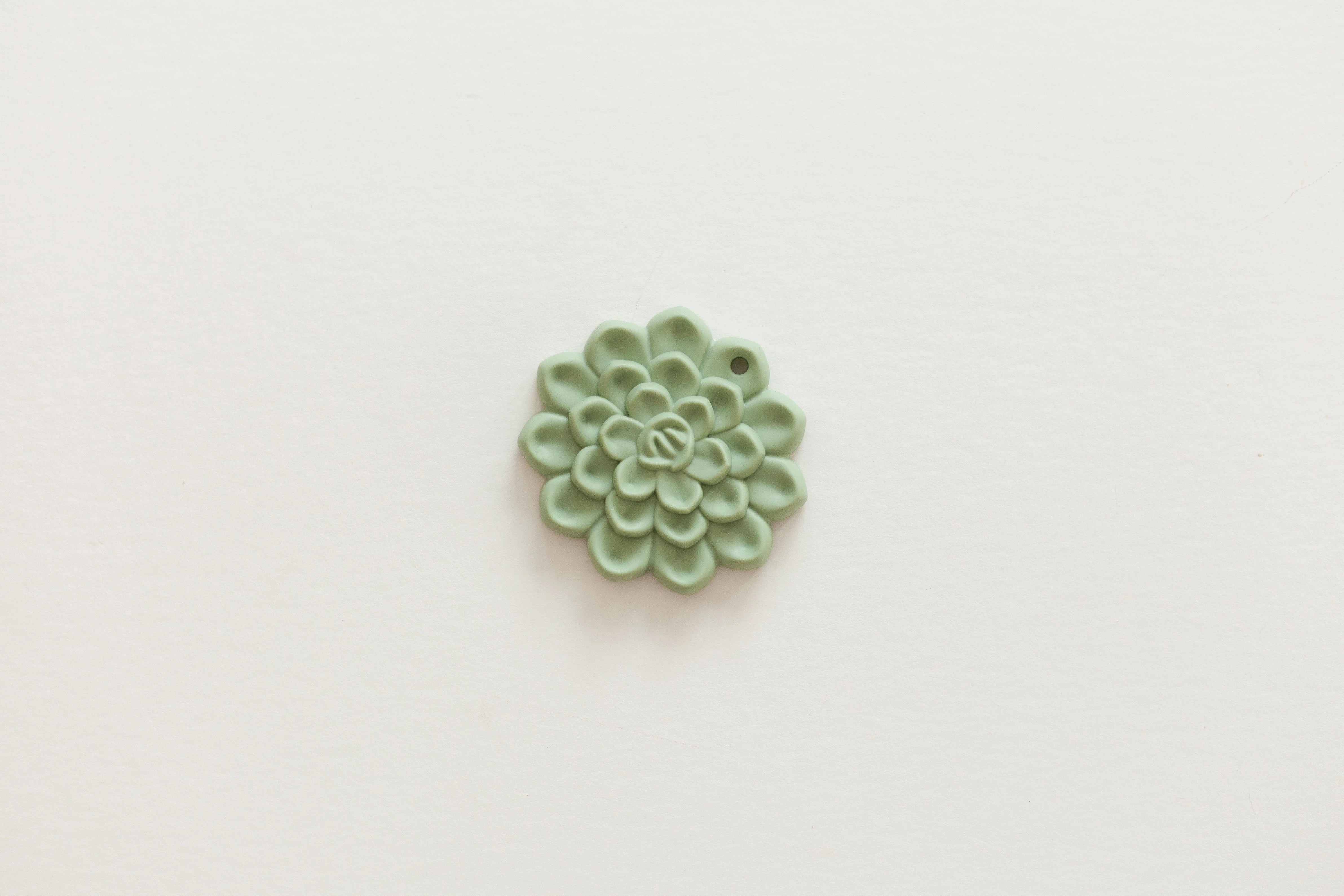 Succulent Teethers - Image 14