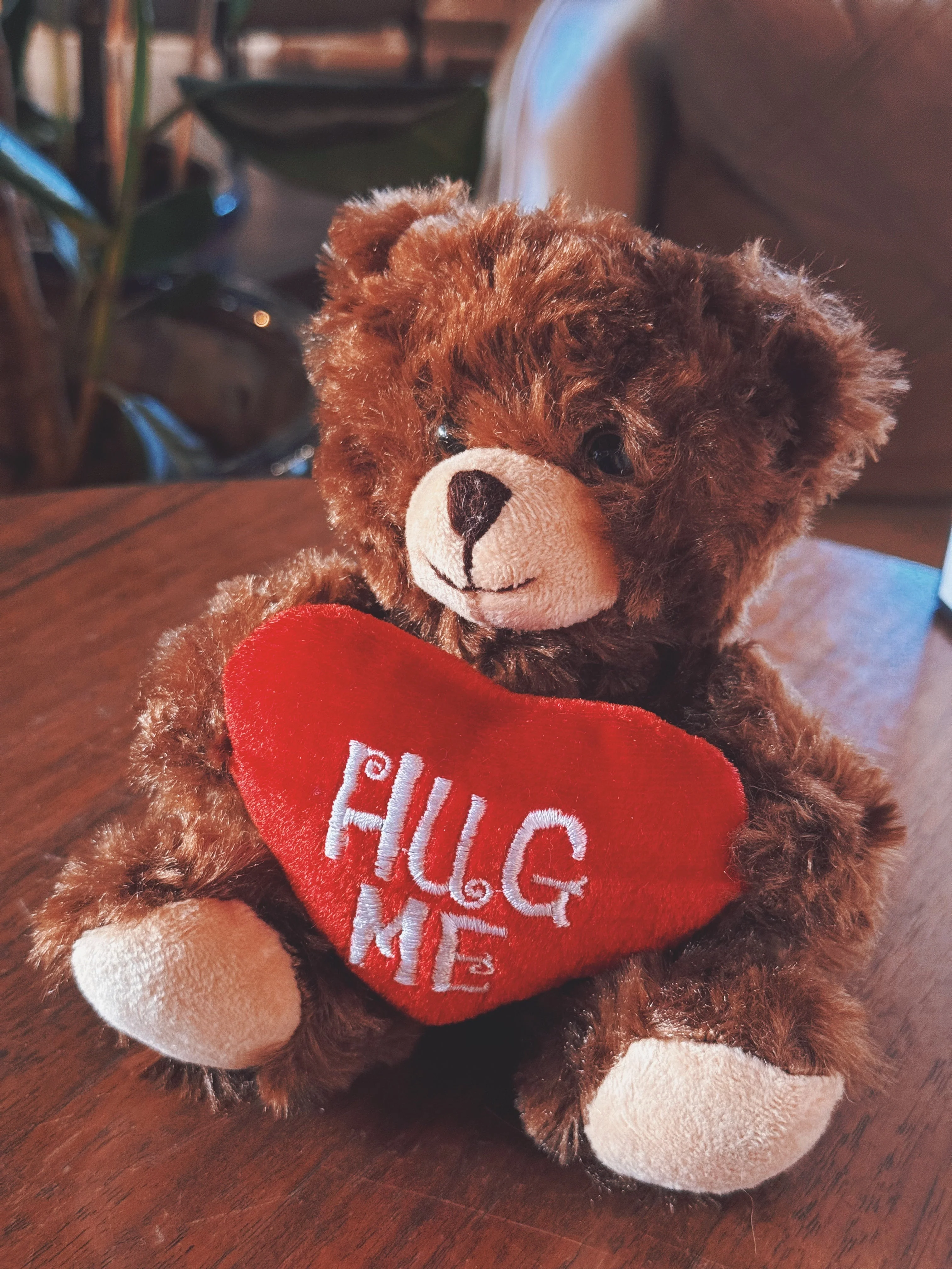 Valentine Bear 9" - Chocolate Hug Me - Image 4