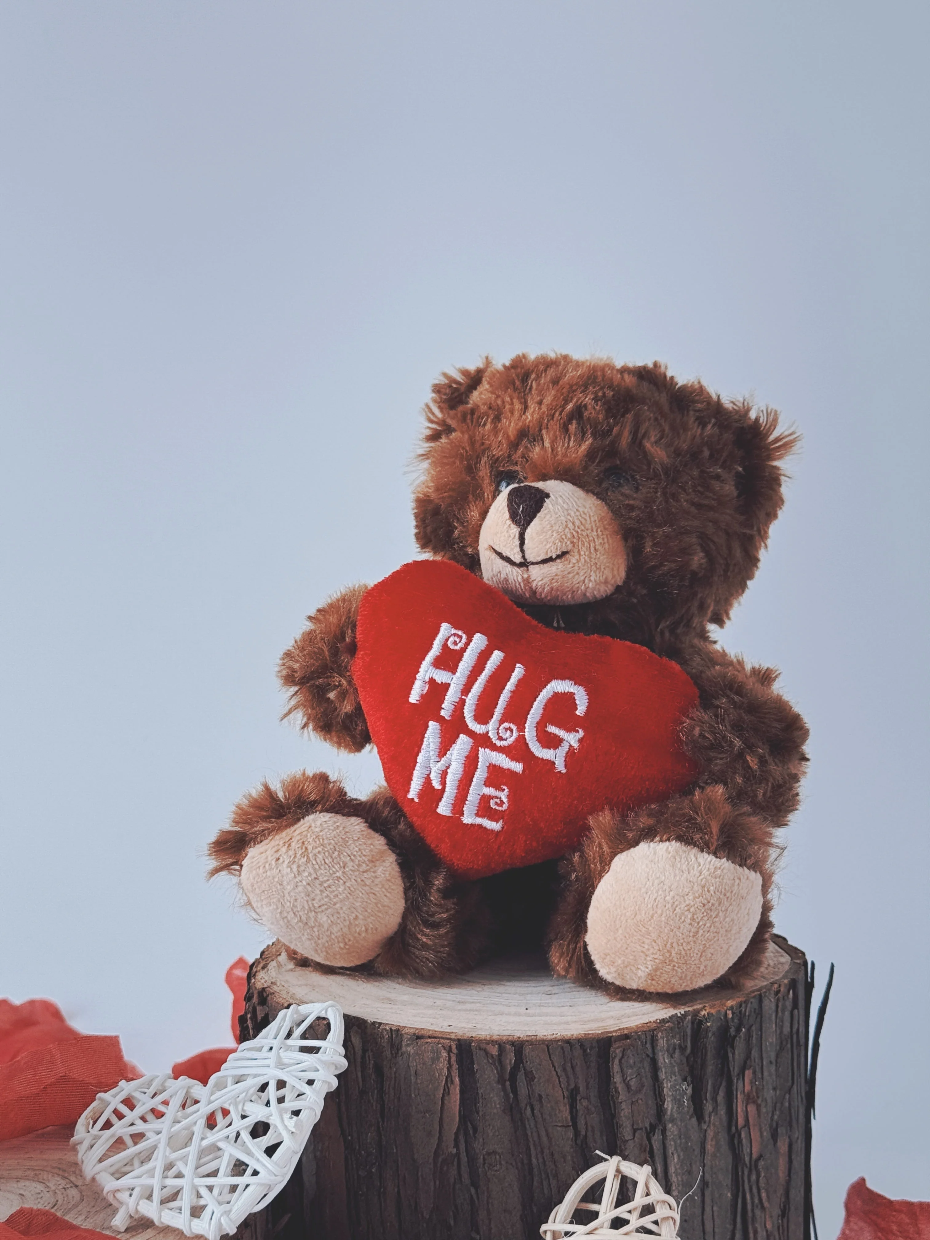Valentine Bear 9" - Chocolate Hug Me - Image 8