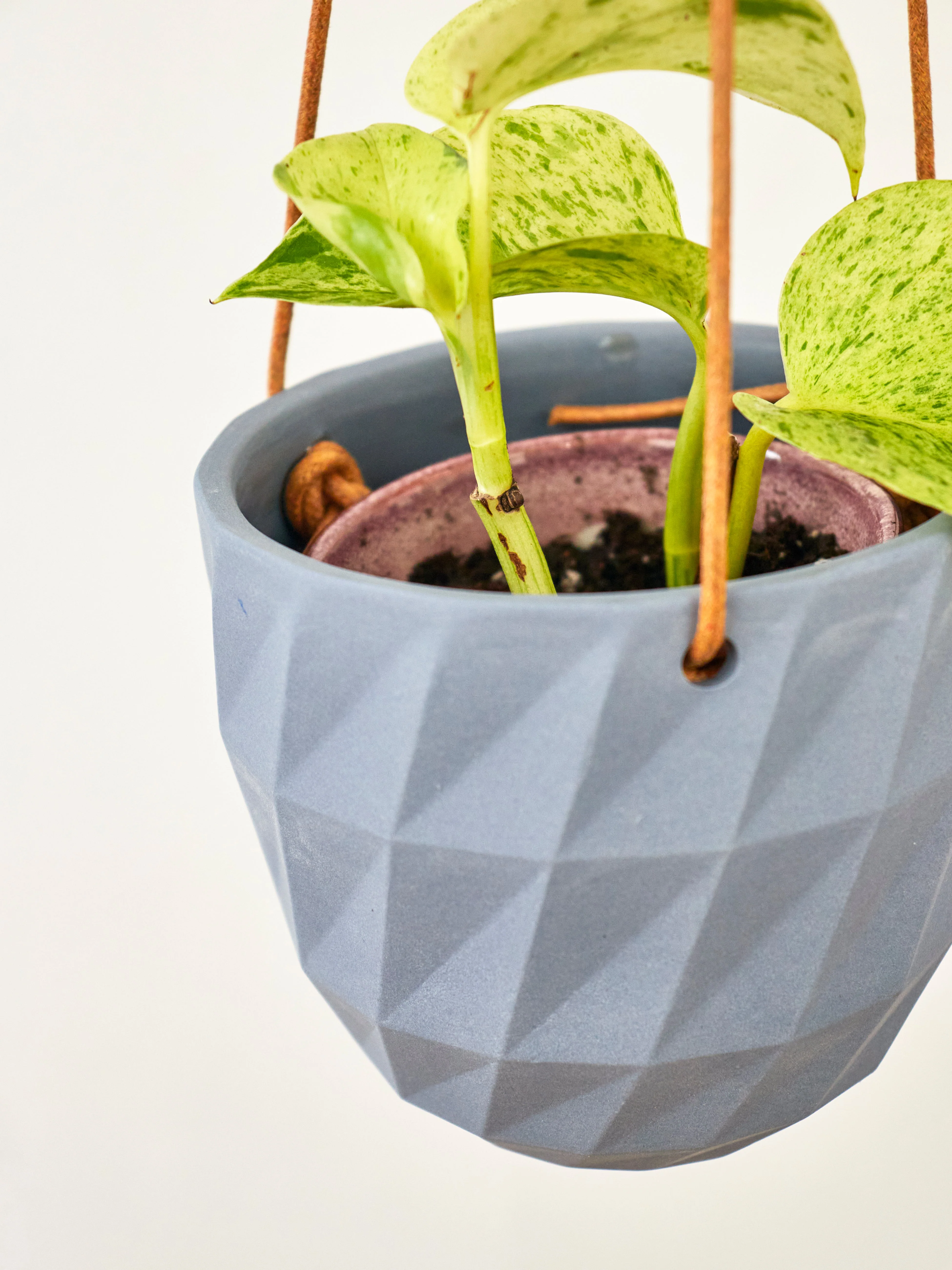 Virago Modern Hanging Planter - Grid - Image 10