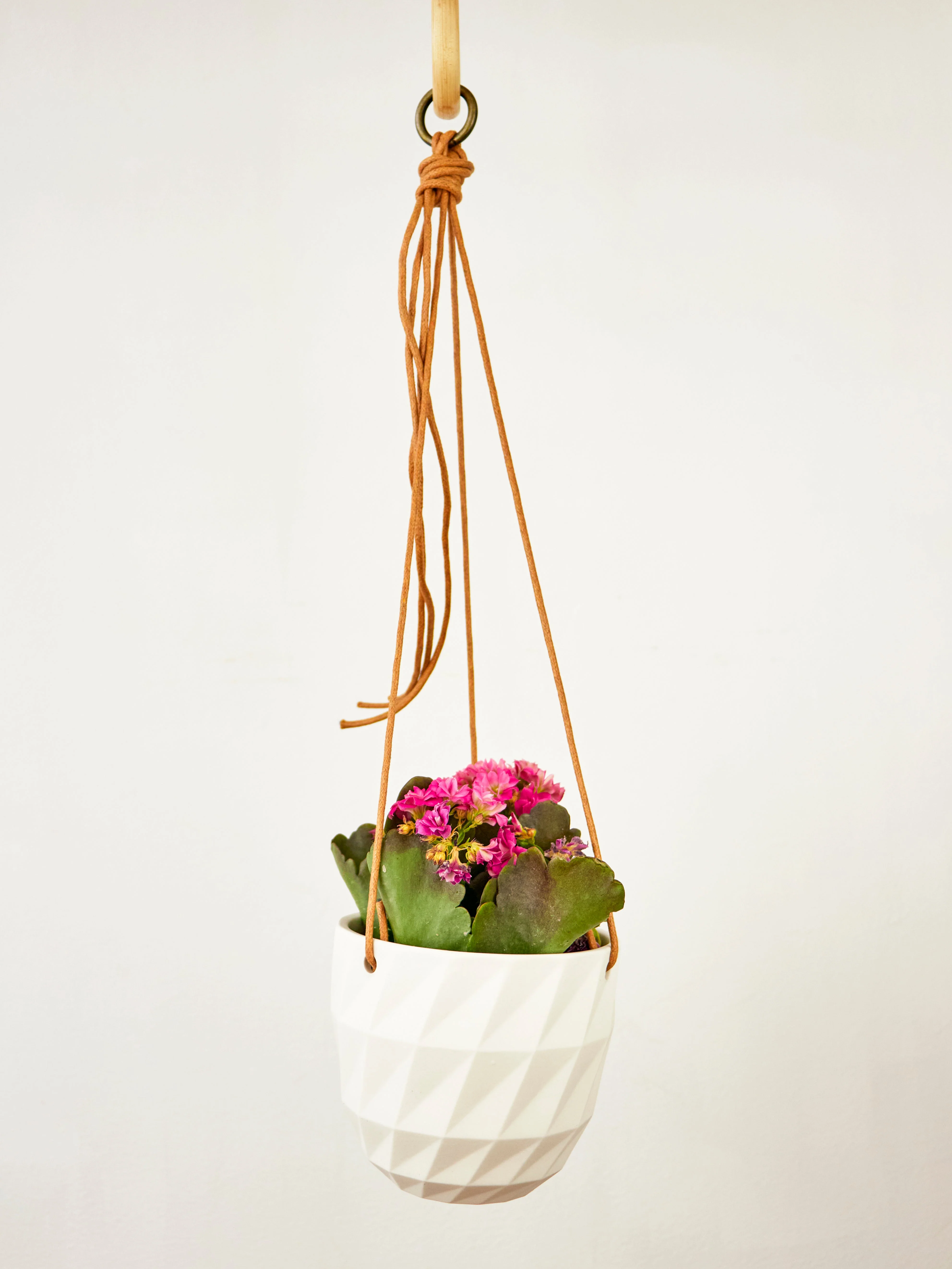 Virago Modern Hanging Planter - Grid - Image 19