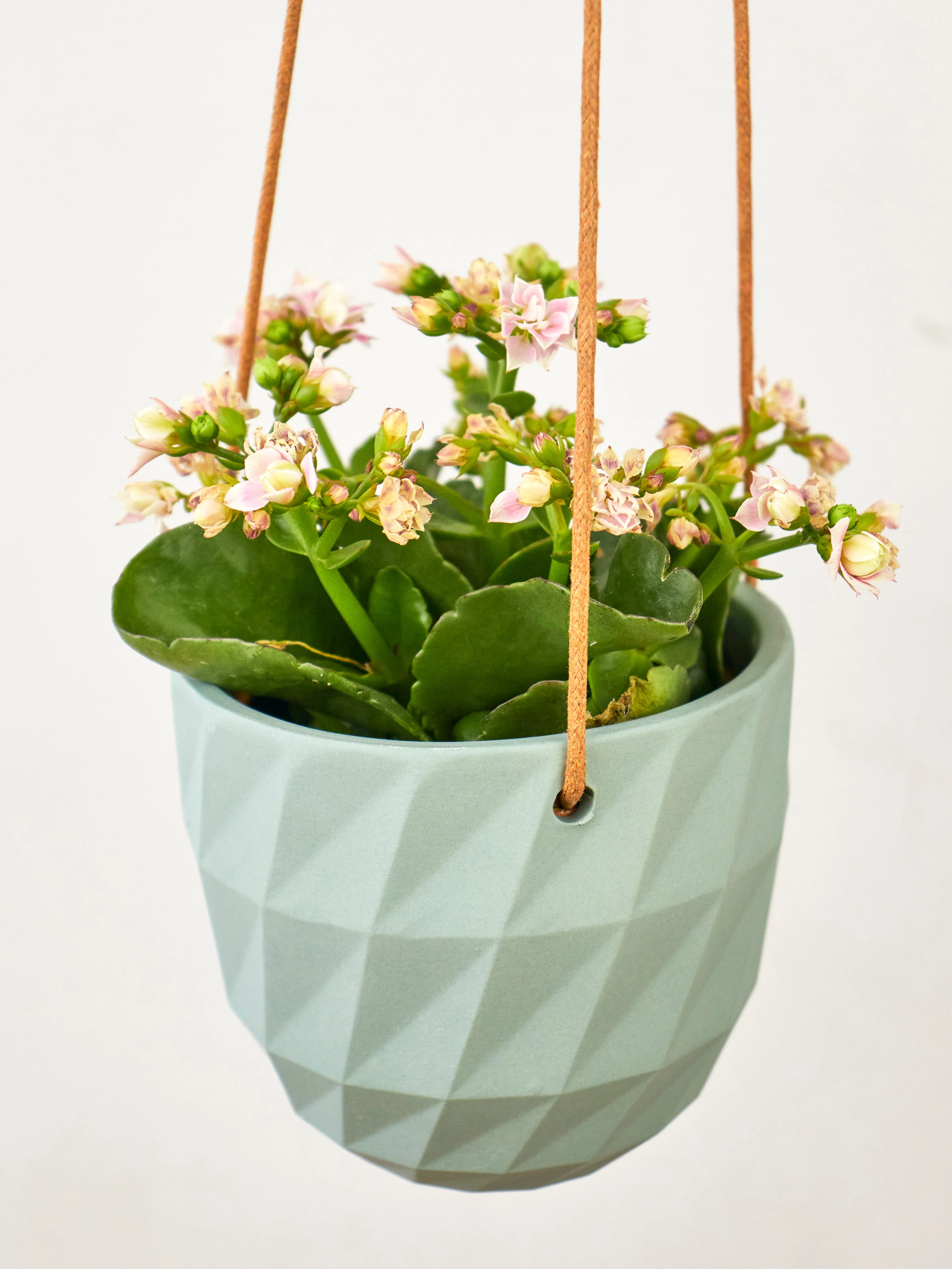 Virago Modern Hanging Planter - Grid - Image 5