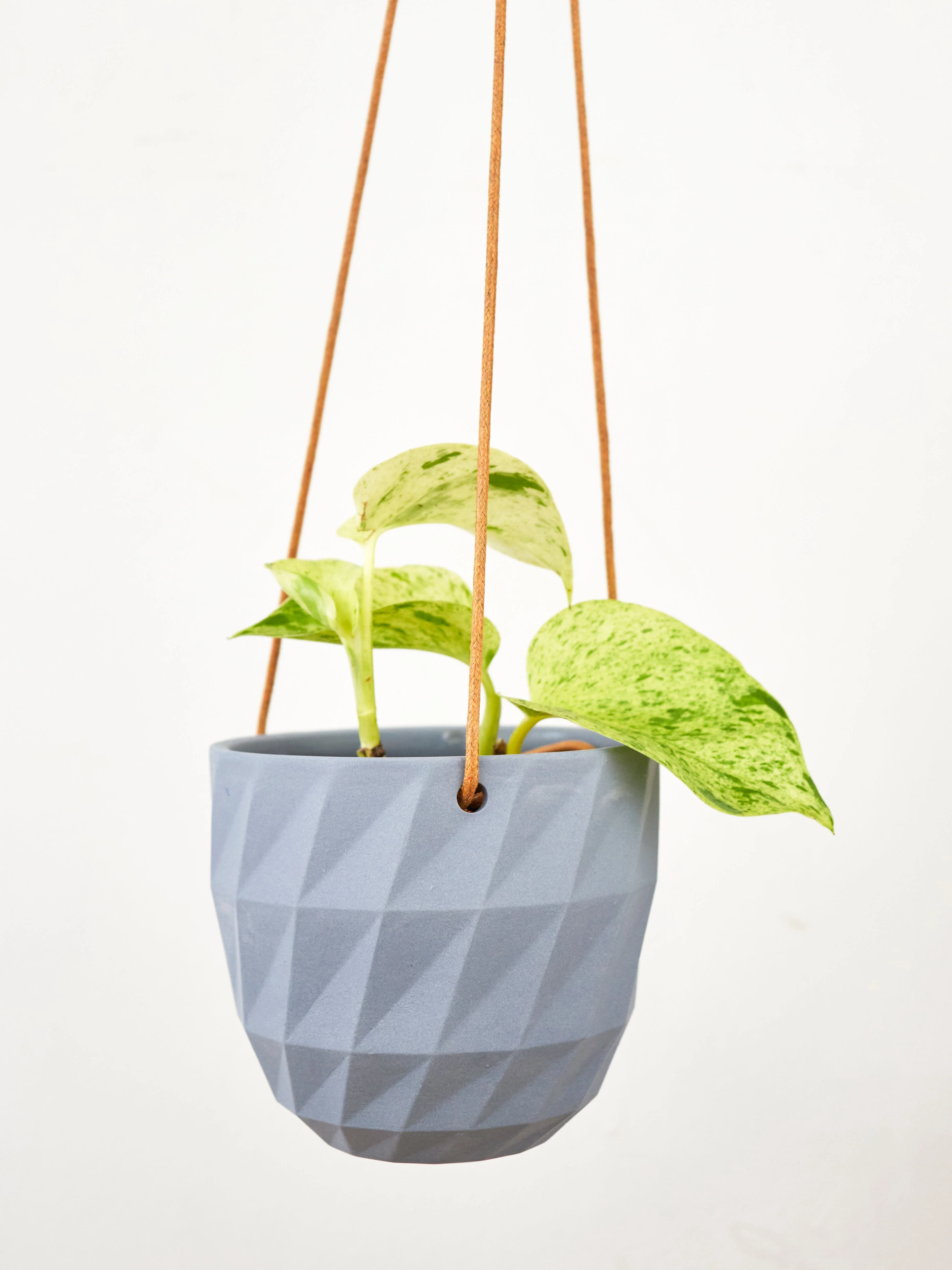 Virago Modern Hanging Planter - Grid - Image 9