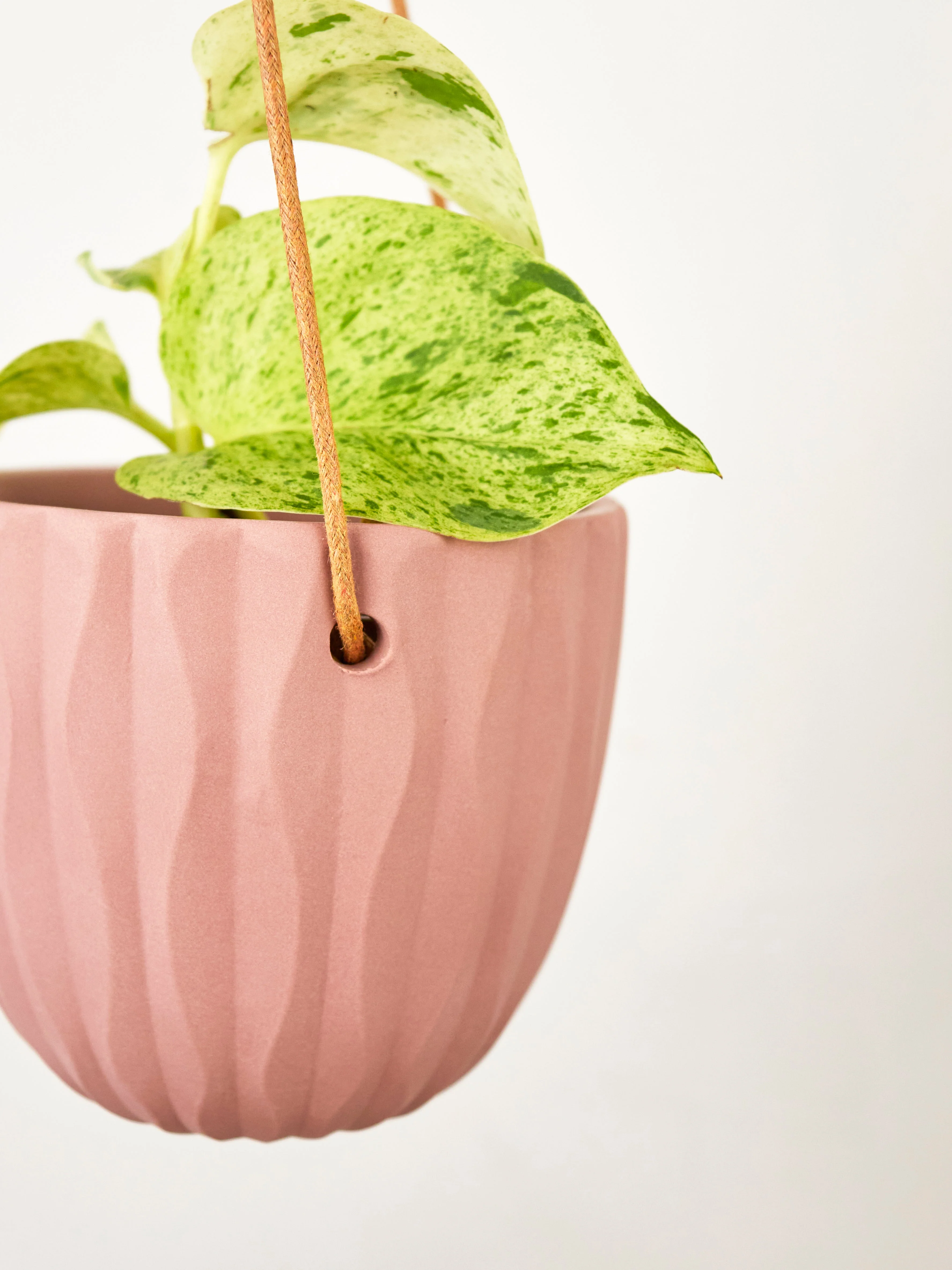 Virago Modern Hanging Planter - Waves - Image 7