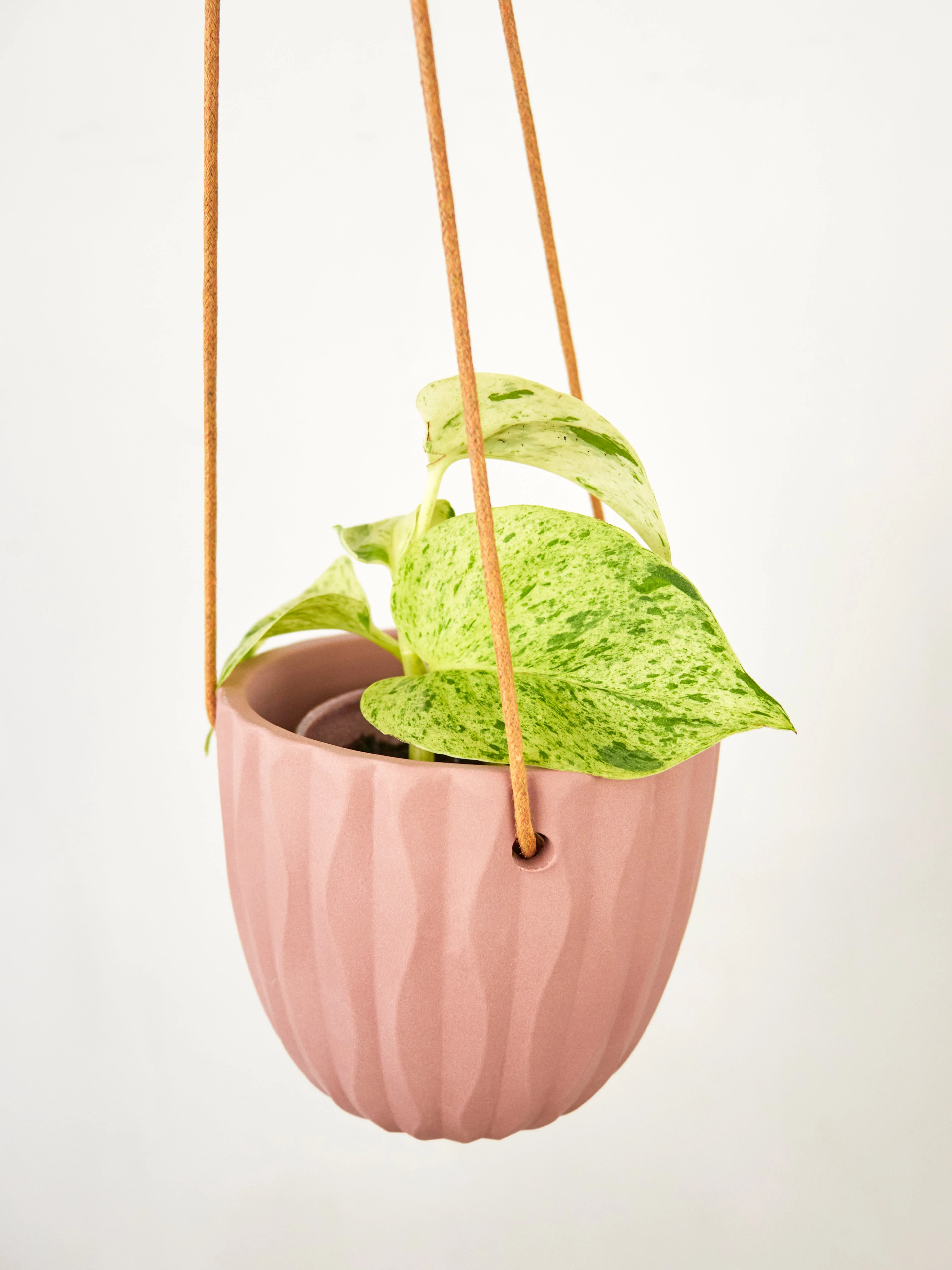 Virago Modern Hanging Planter - Waves - Image 9