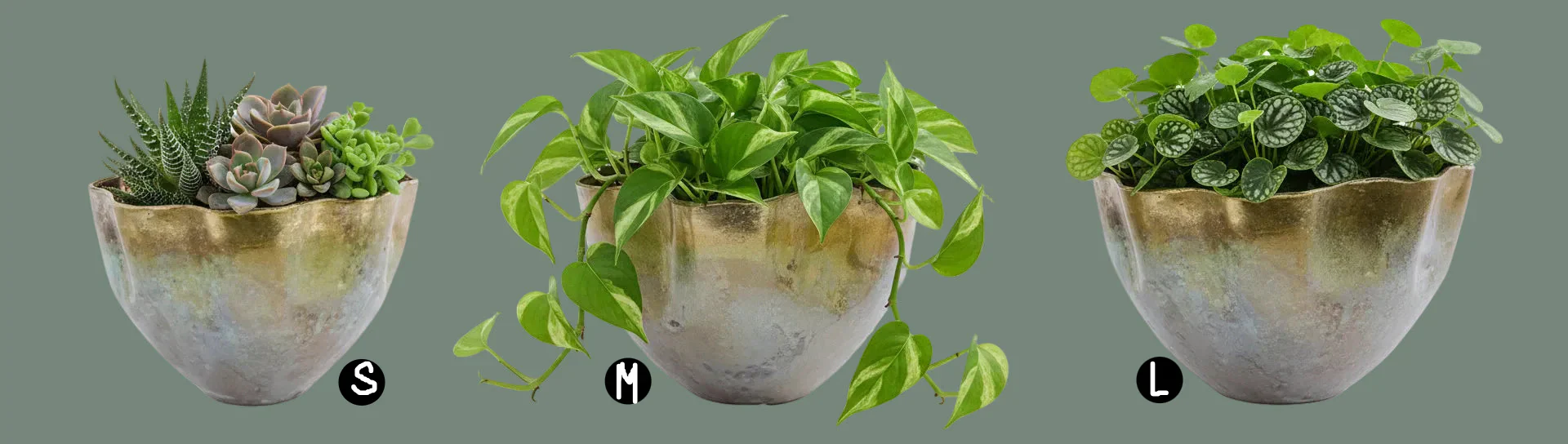 Wavy Aluminum Planter, 3 Size Options